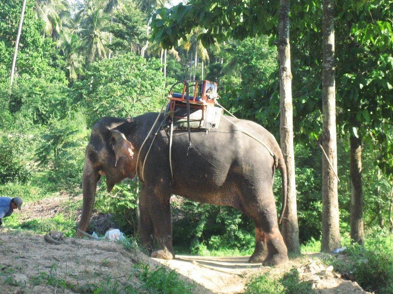 Koh-Samui