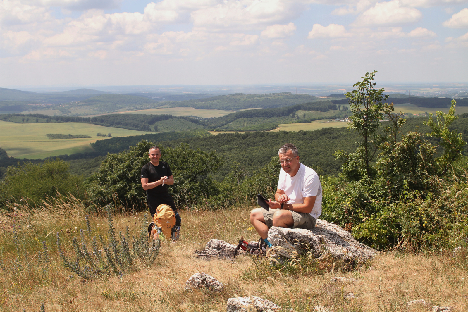 A Somlyó-tetőn