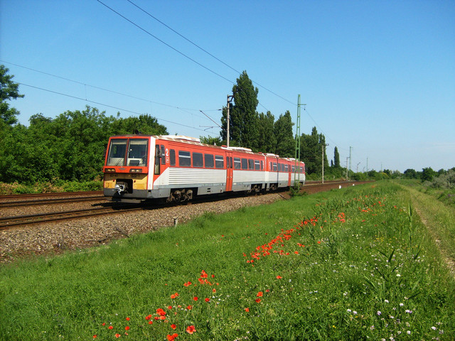 Uzsgyi Szeged előtt