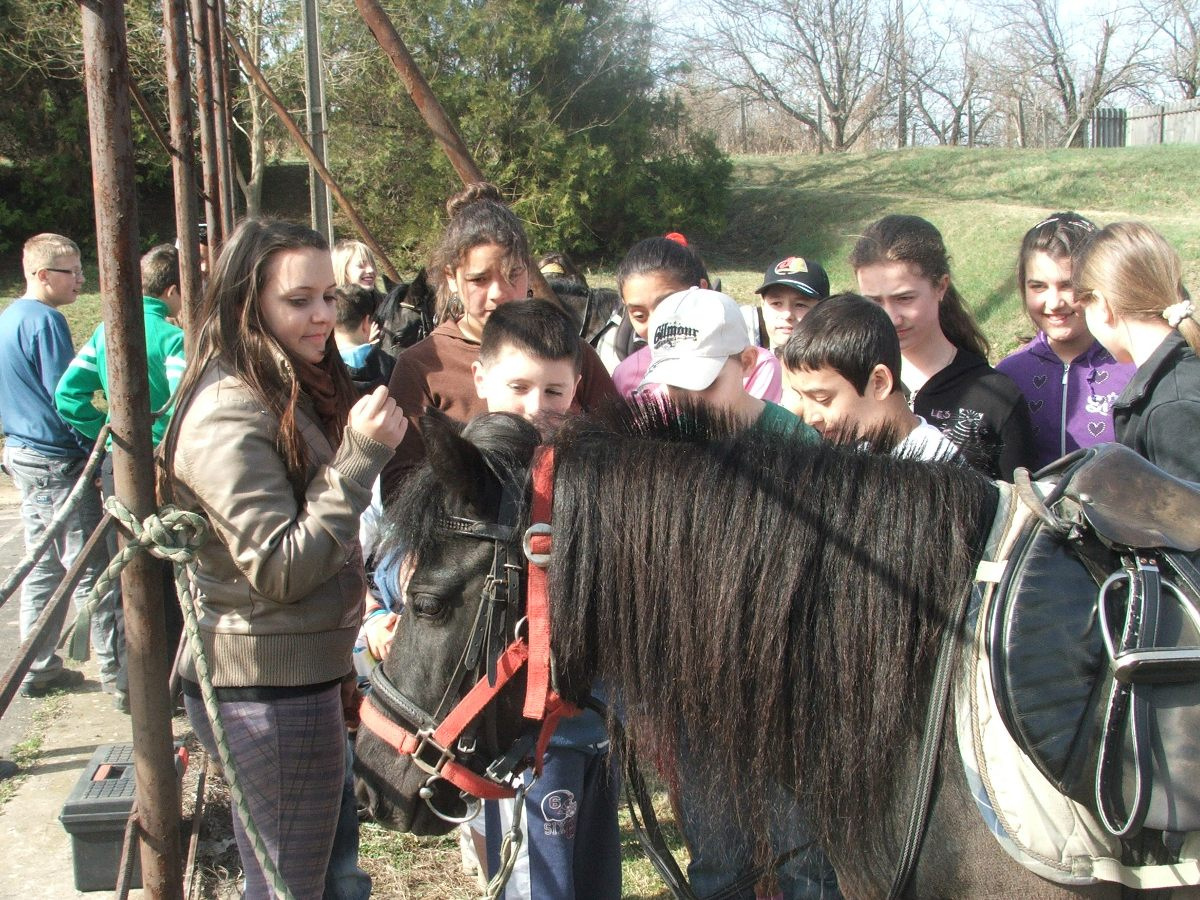 Lovaglás 2012. márc. 27