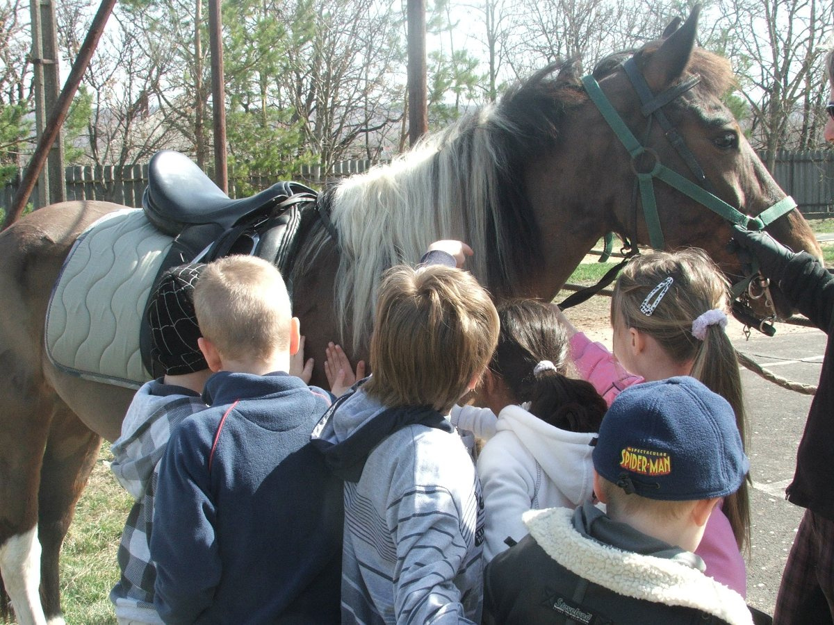 Lovaglás 2012. márc. 32