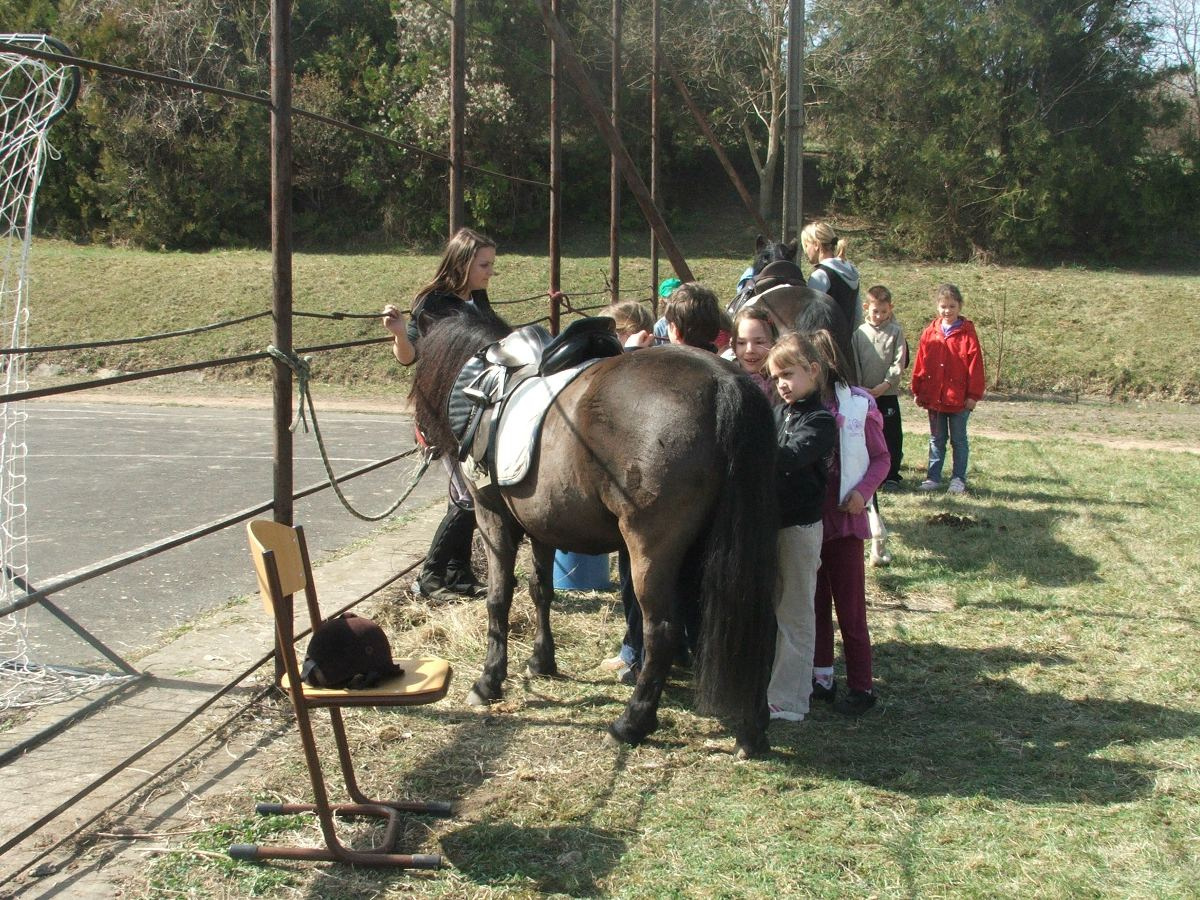 Lovaglás 2012. márc. 33