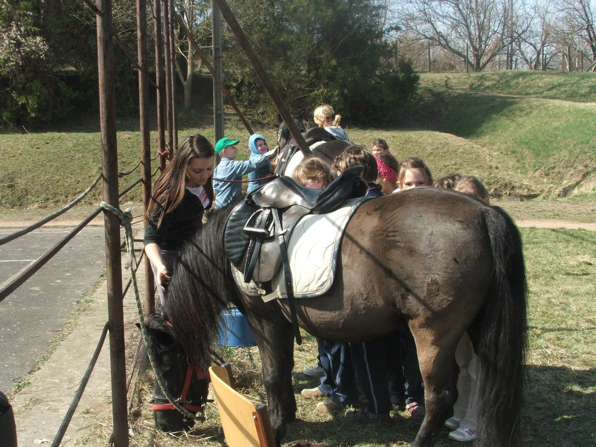 Lovaglás 2012. márc. 34