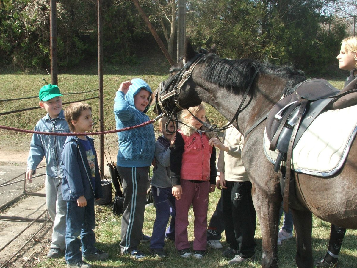 Lovaglás 2012. márc. 37