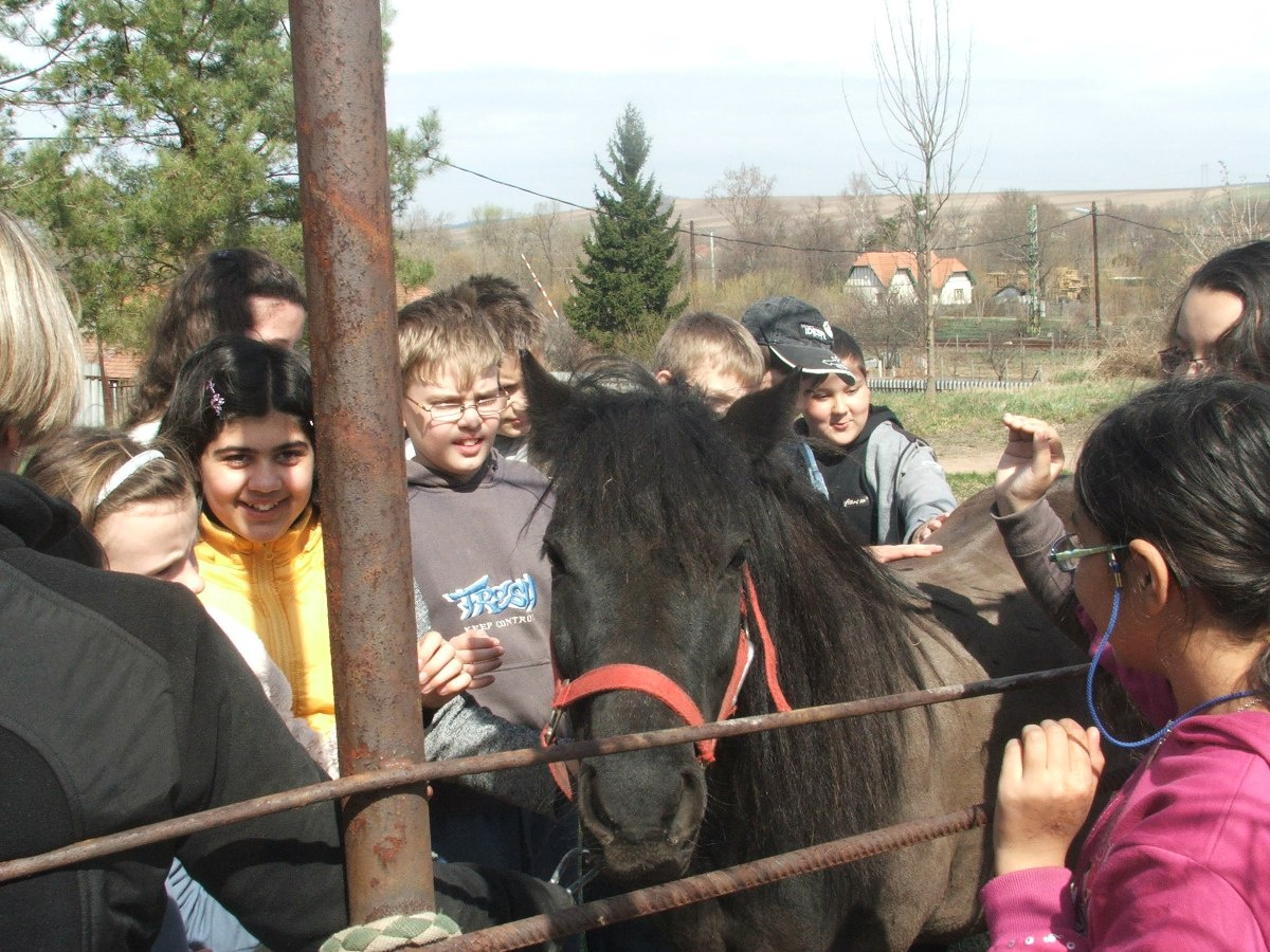 Lovaglás 2012. márc. 47