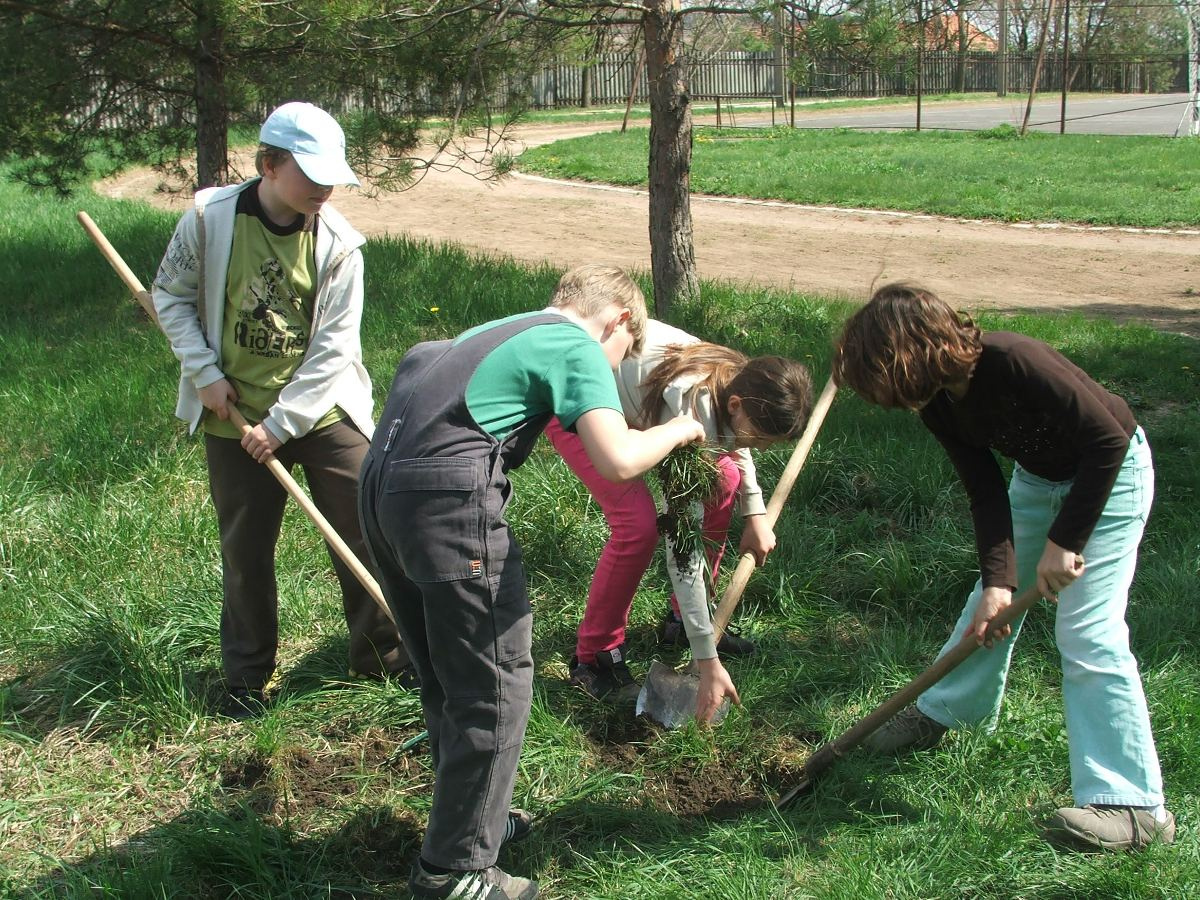 Föld Napja faültetés 2012. ápr 09