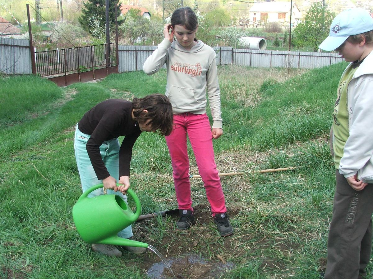 Föld Napja faültetés 2012. ápr 16