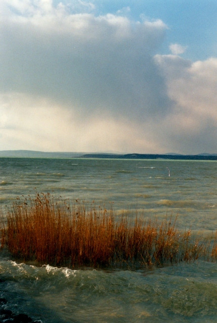 Balatonaliga,kilátás Fűzfő felé