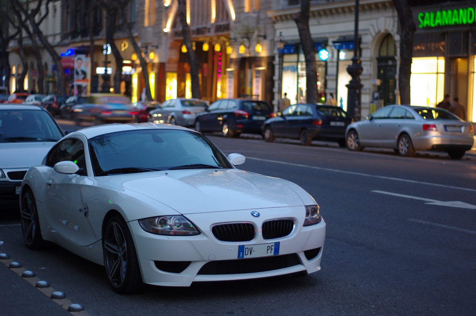 BMW Z4 M (2)