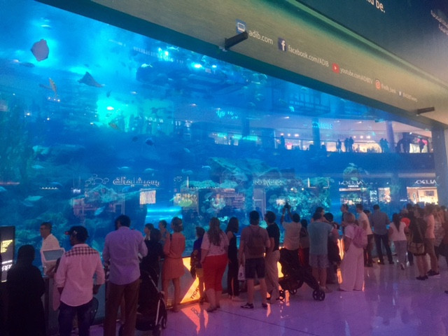 Dubai Mall, Akvárium