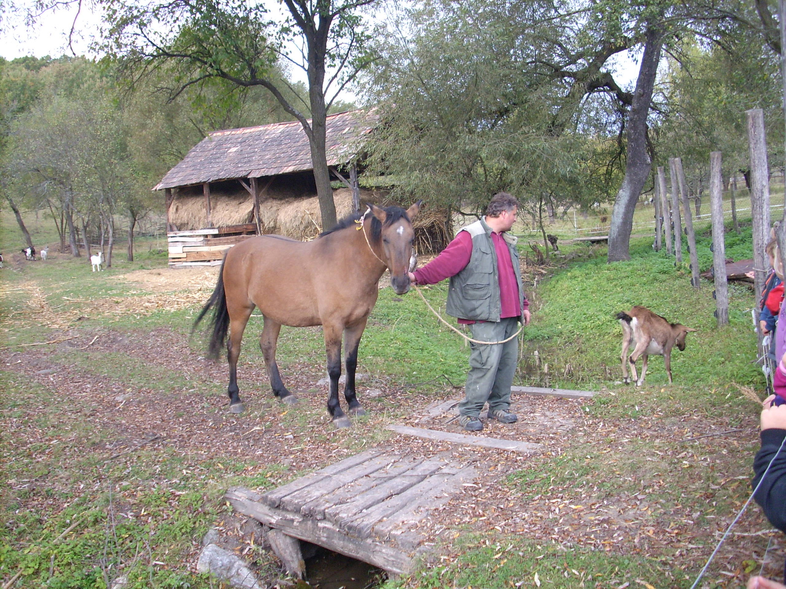 Gömörszőlős (45)