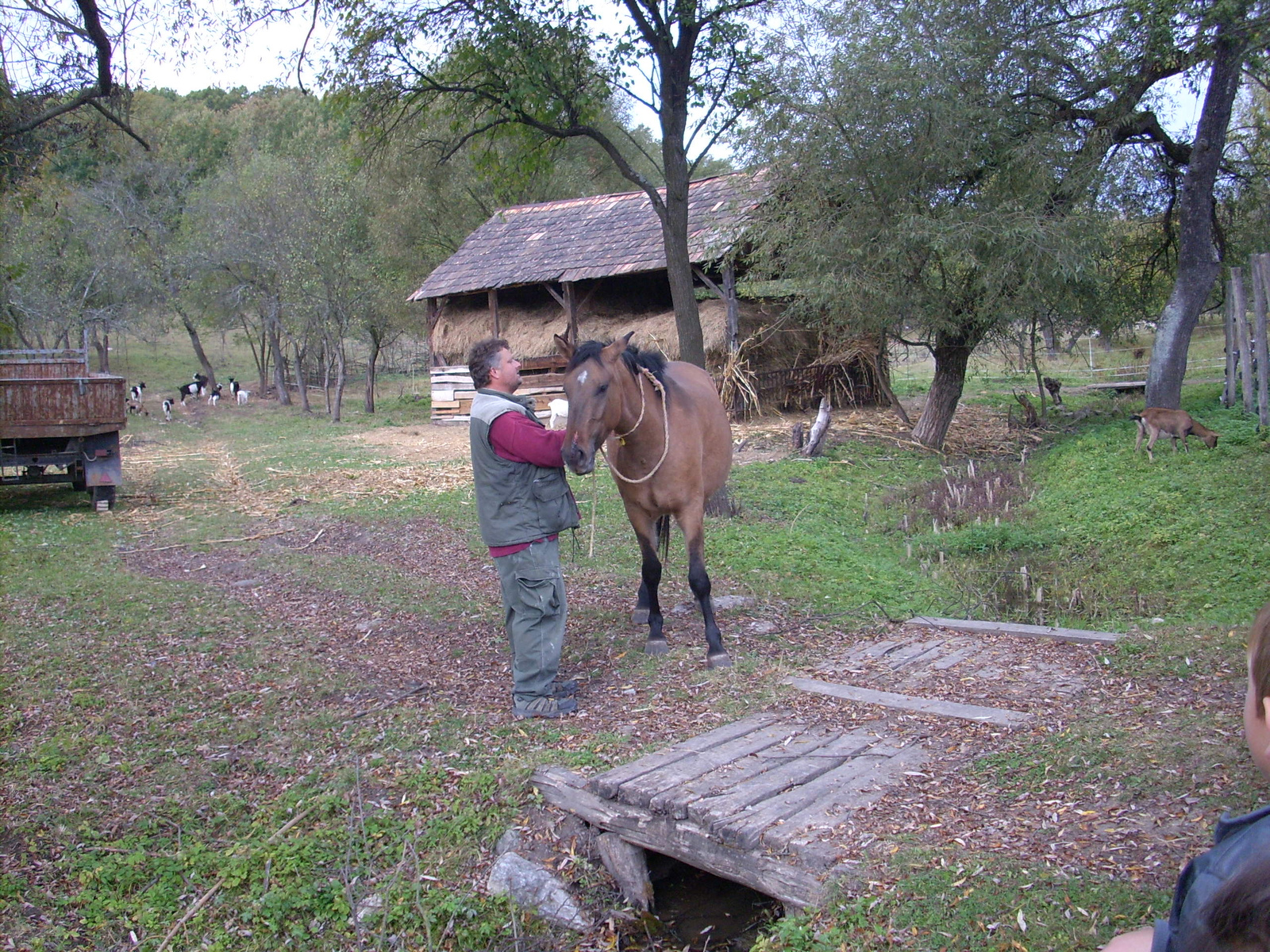 Gömörszőlős (47)