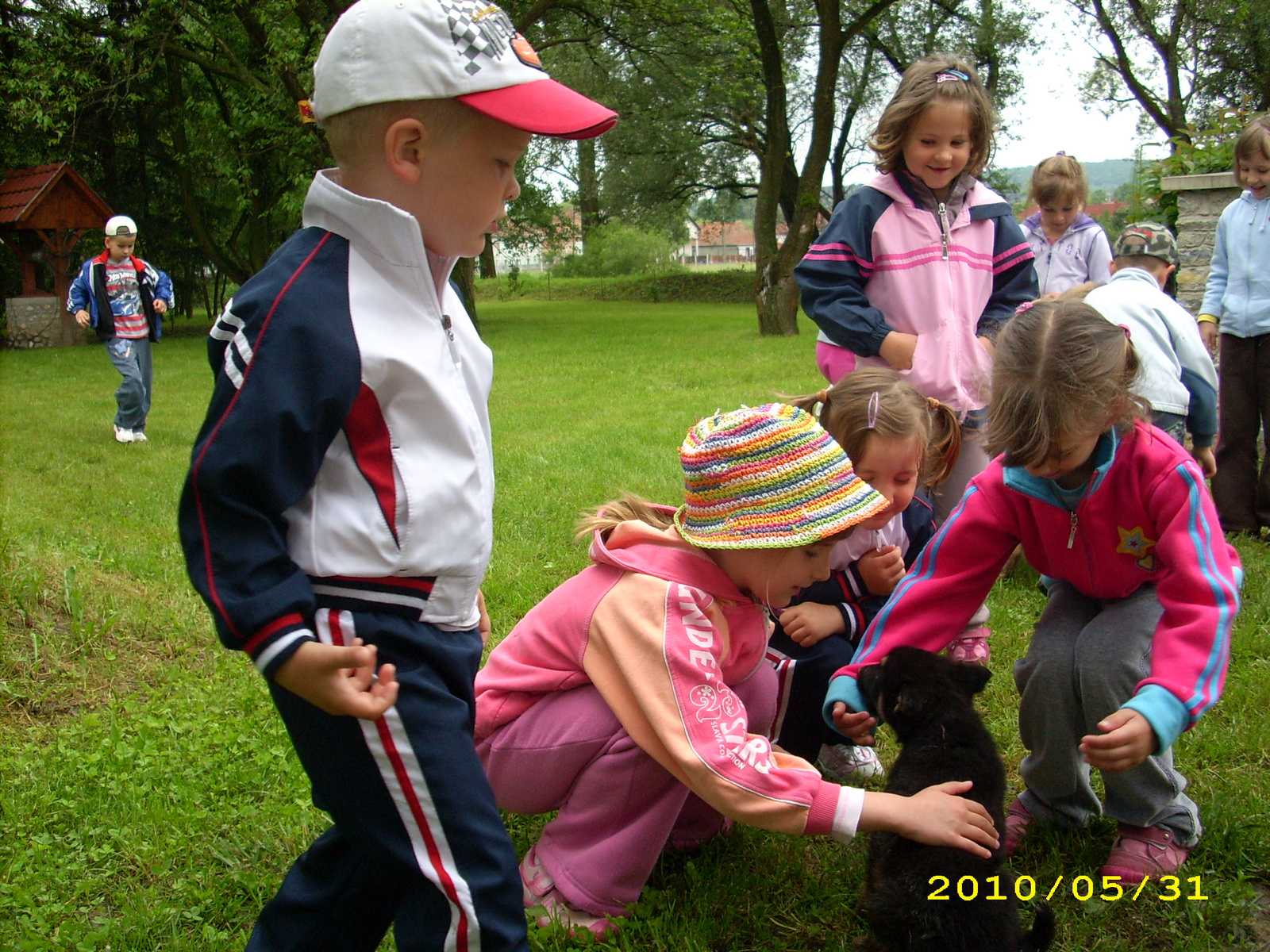 2010 Kelecsény 007