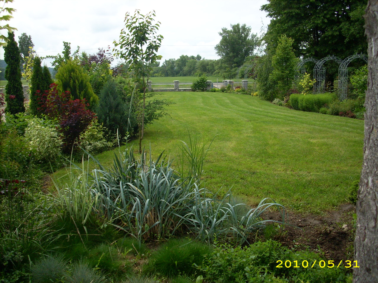 2010 Kelecsény 088