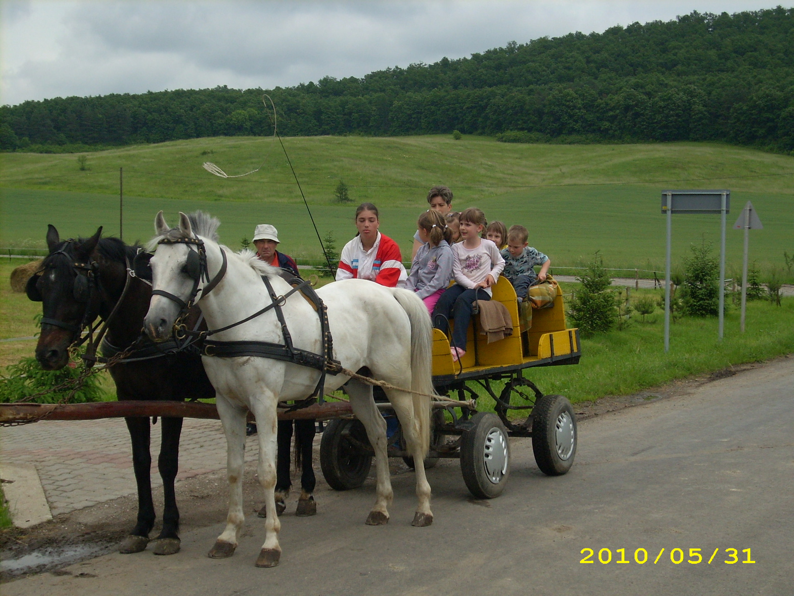 2010 Kelecsény 134