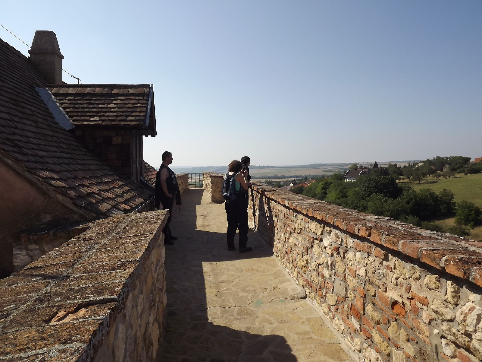 Pogány 2012 063