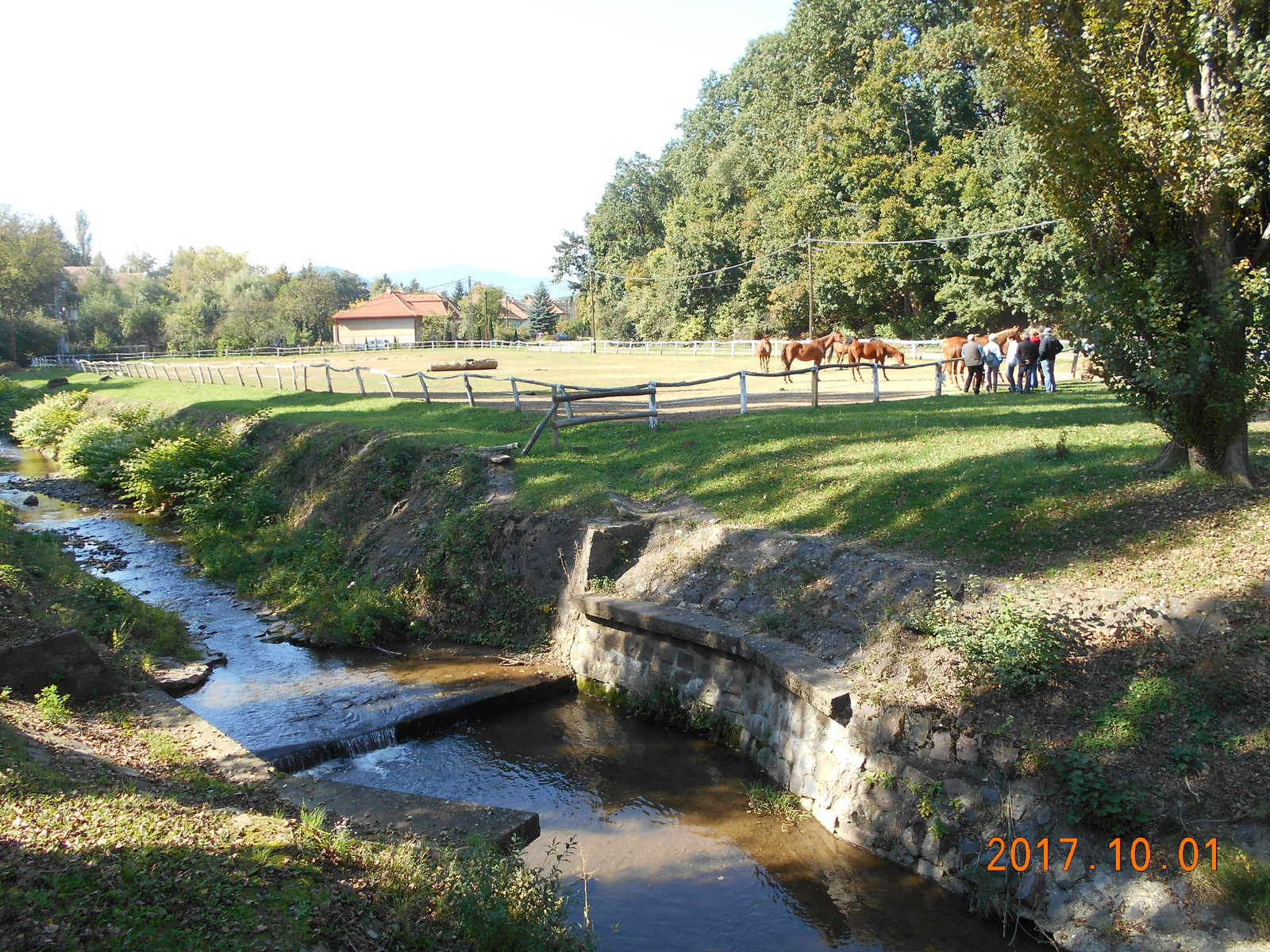 Lovas osztályos