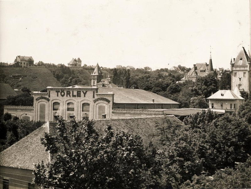 Budafok-1937Korul-Torley-fortepan.hu-118820