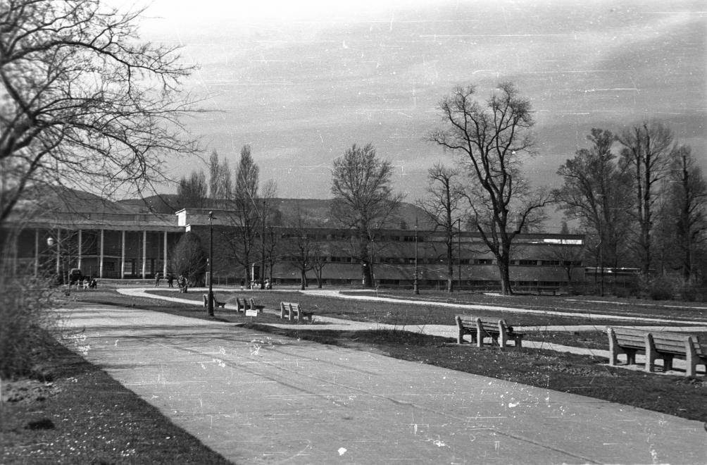 PalatinusStrand-1957Korul-fortepan.hu-129485