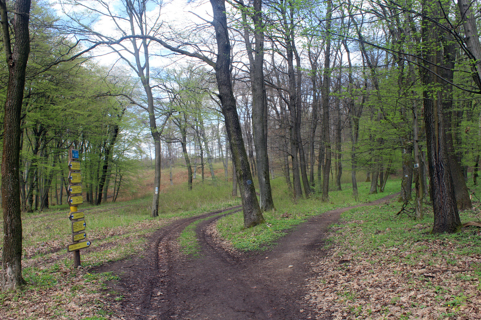 20180413-39-KekHaromszogJelzesnel