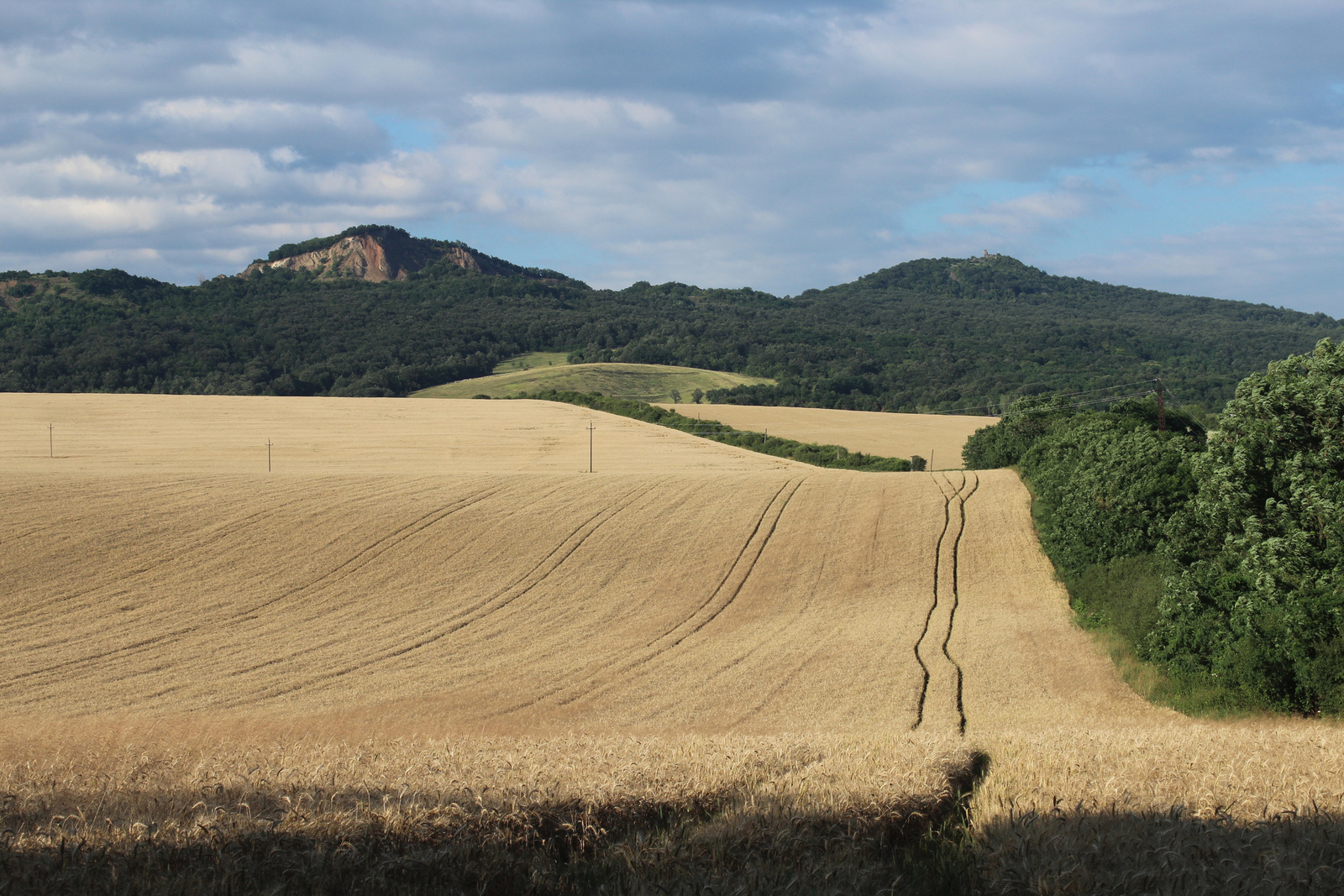 20180630-86-BercelFele