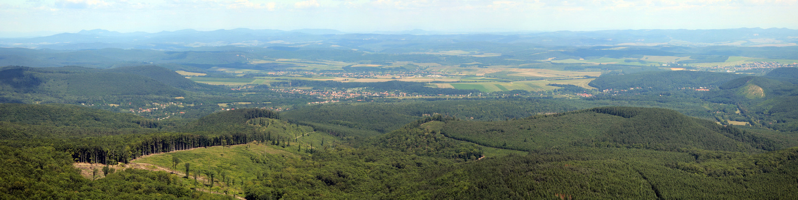 20180714-43-DisznoKo