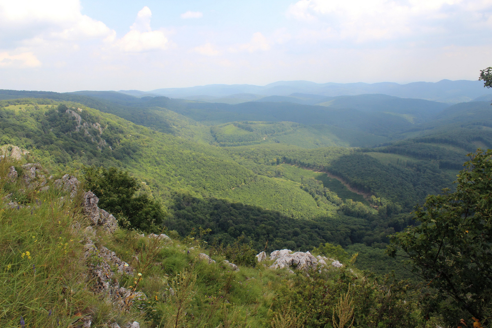 20180721-38-TarKo