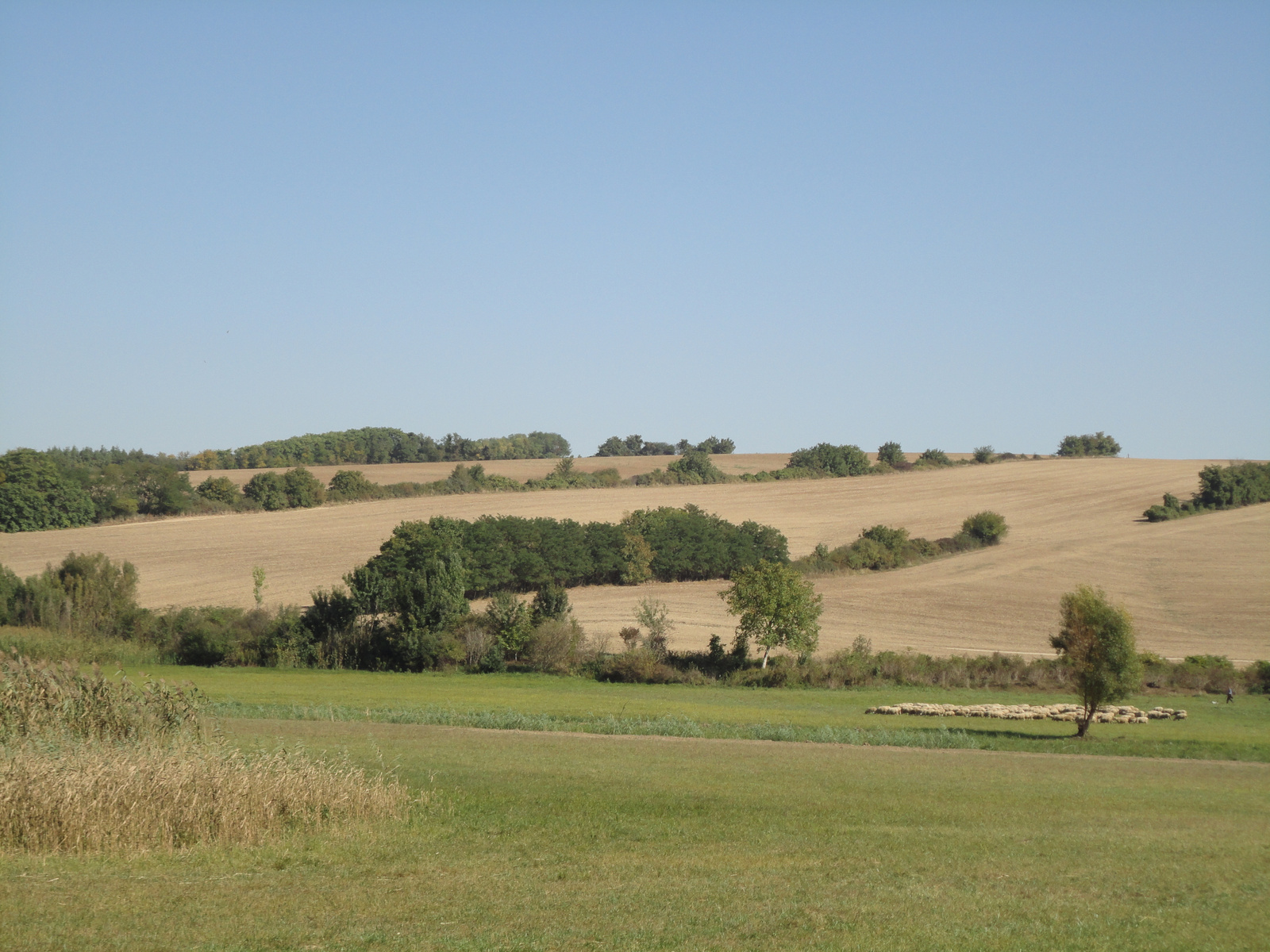 Kisnyárád, Kápolna környéke