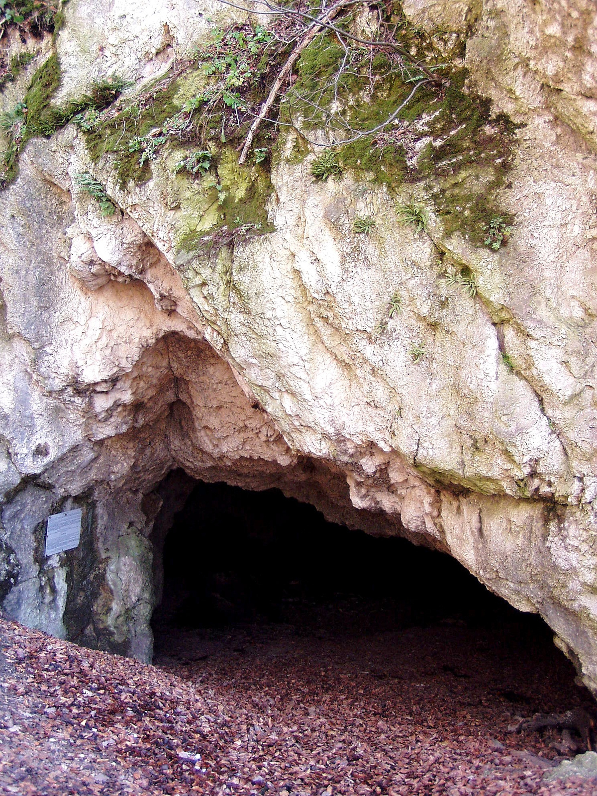 Odvas-kő-barlang