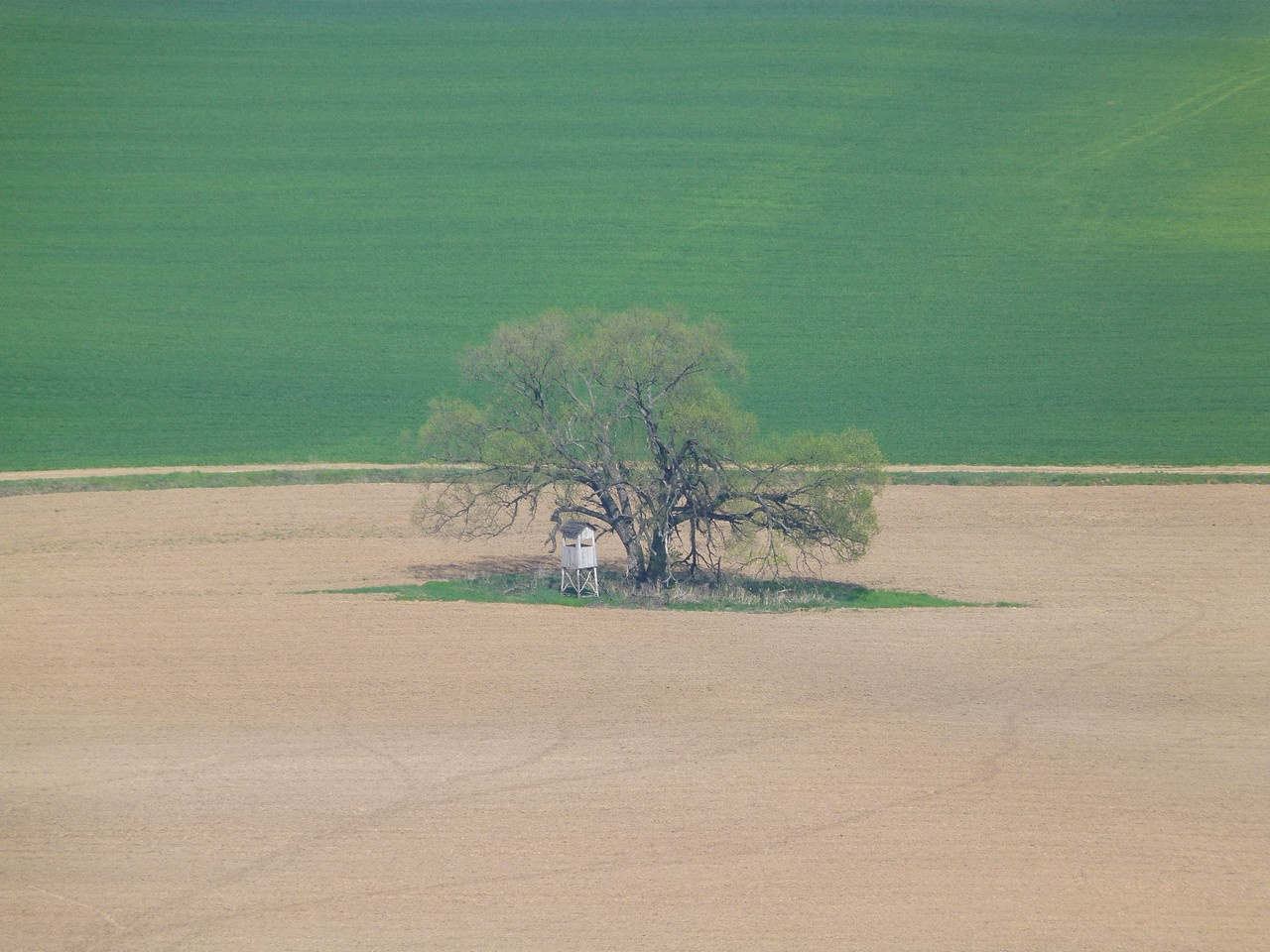 Terény