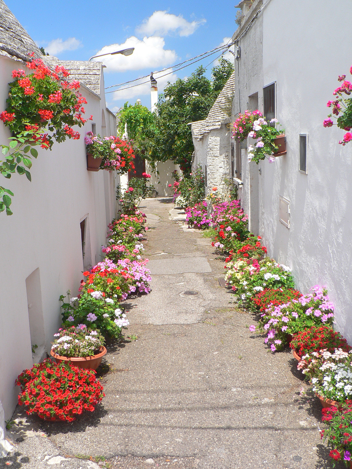 05 Alberobello 0701 15