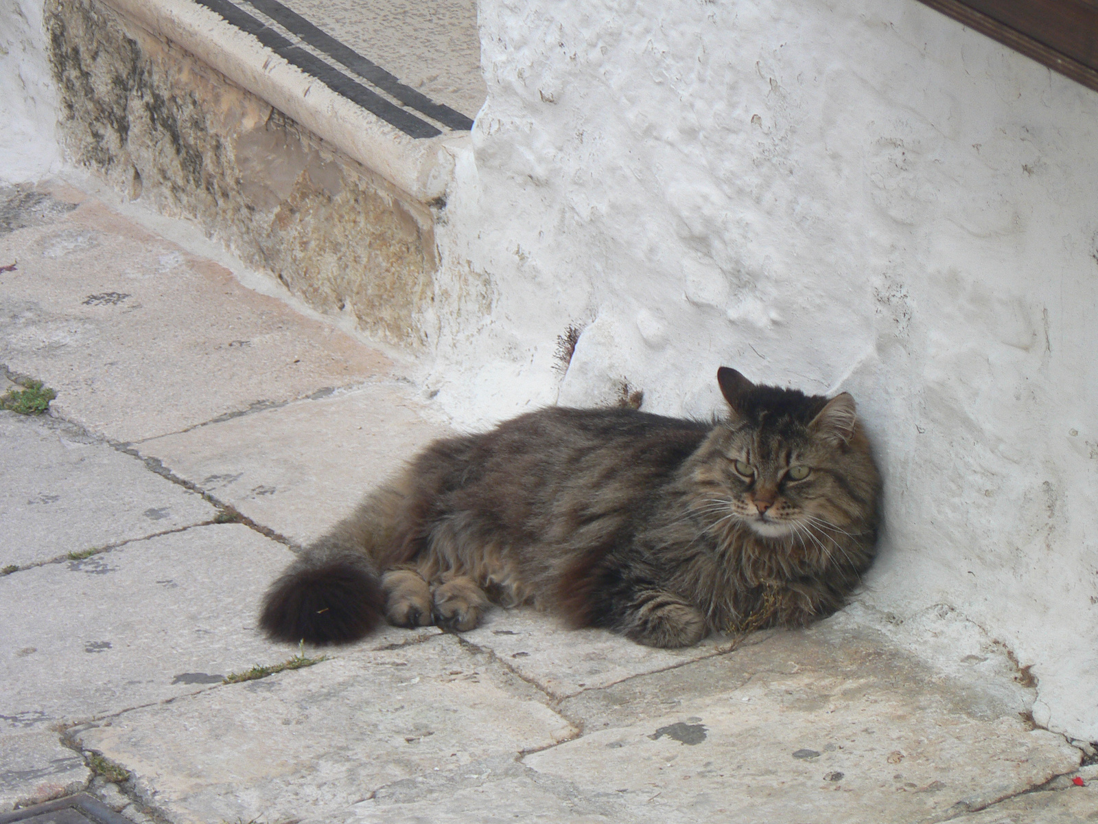 05 Alberobello 0701 17