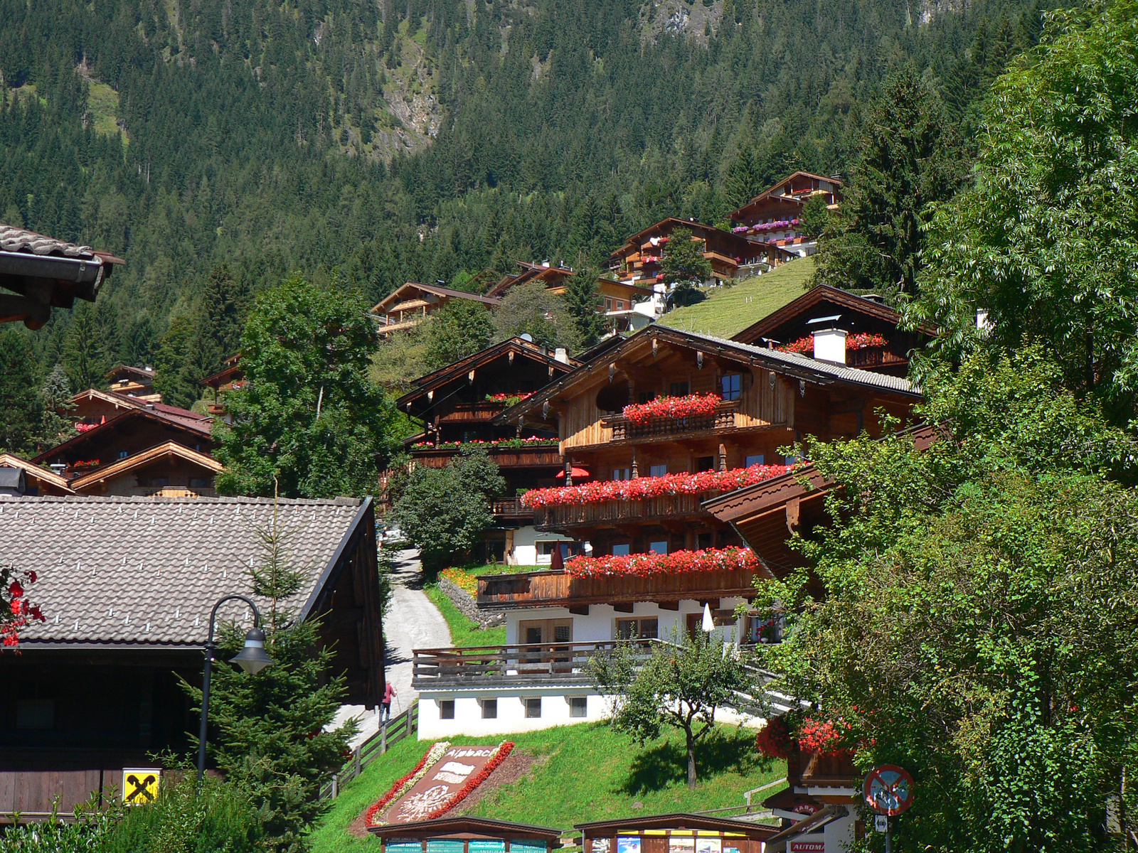 3 Alpbach (17)