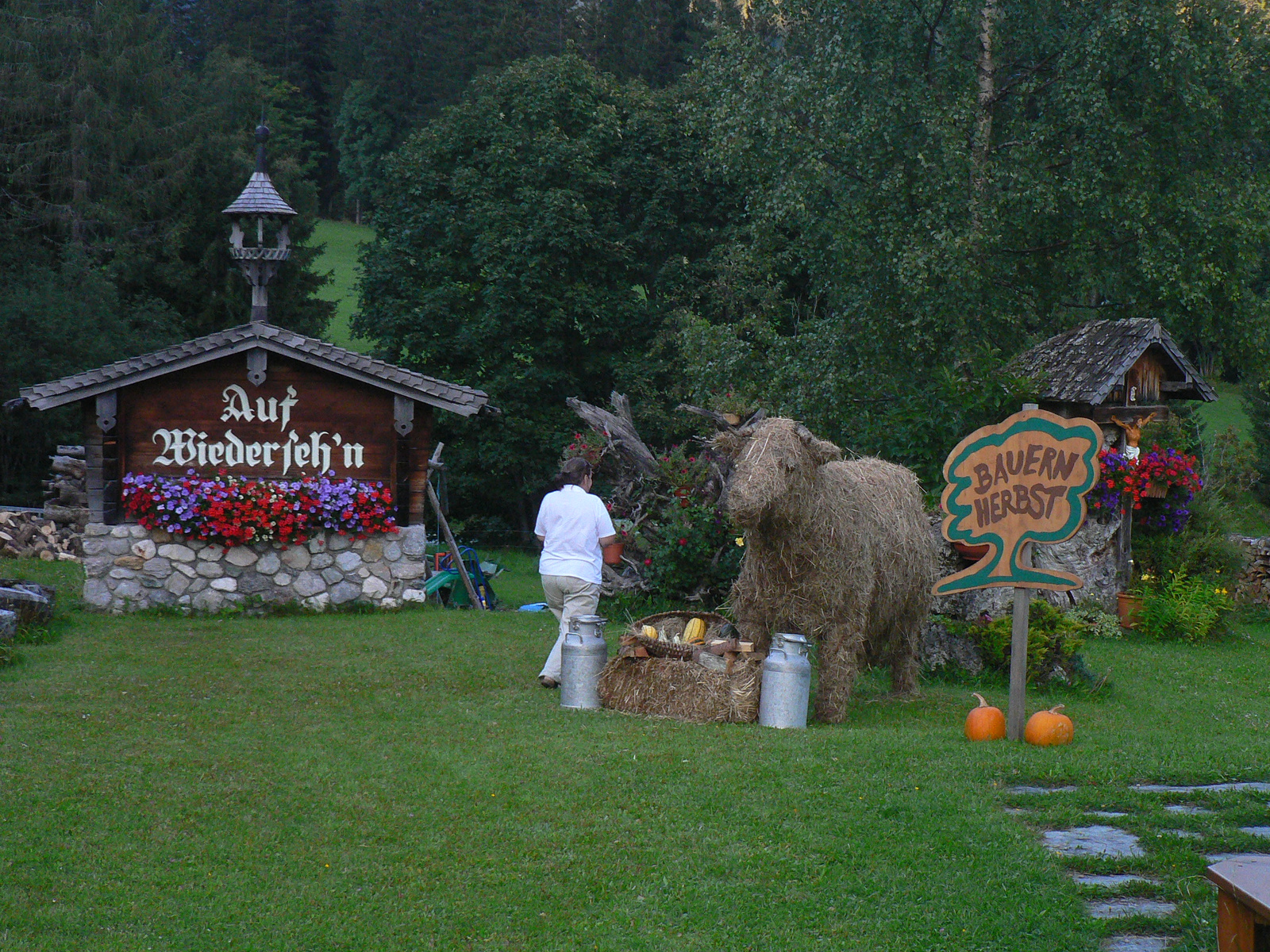 Dachstein 193