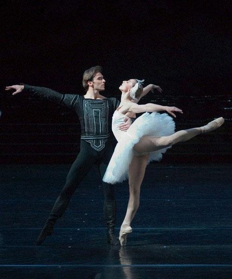 ballet  (15) (Medium)