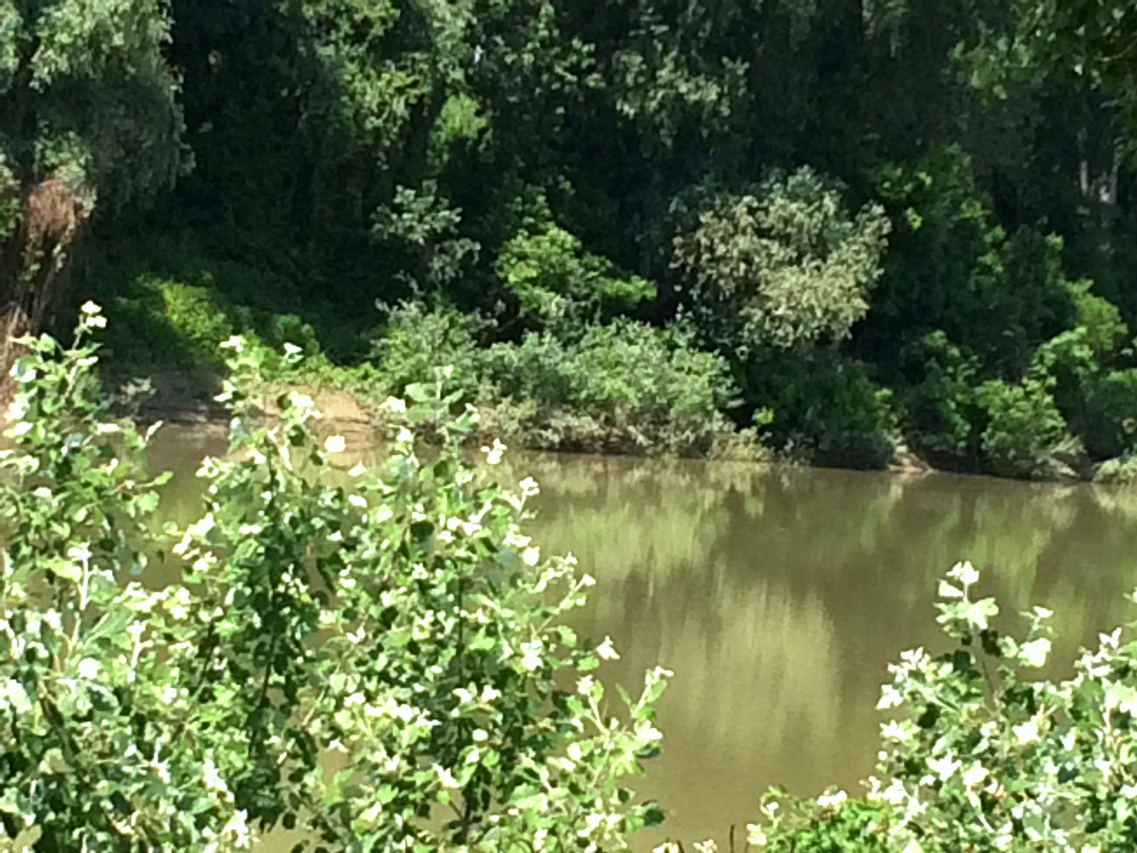 Szőke Tisza Tiszabő