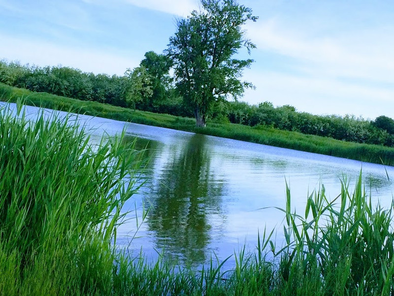 Alsóréti Holt Tisza Rokkantrét