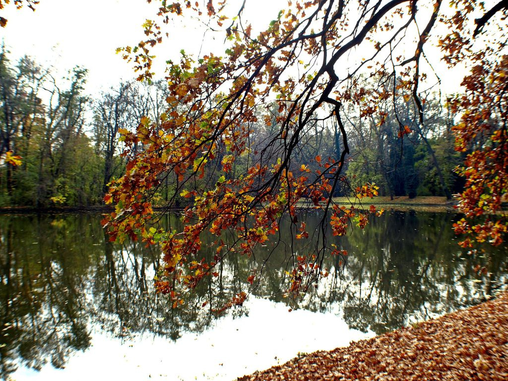 Brunszvik-kastély