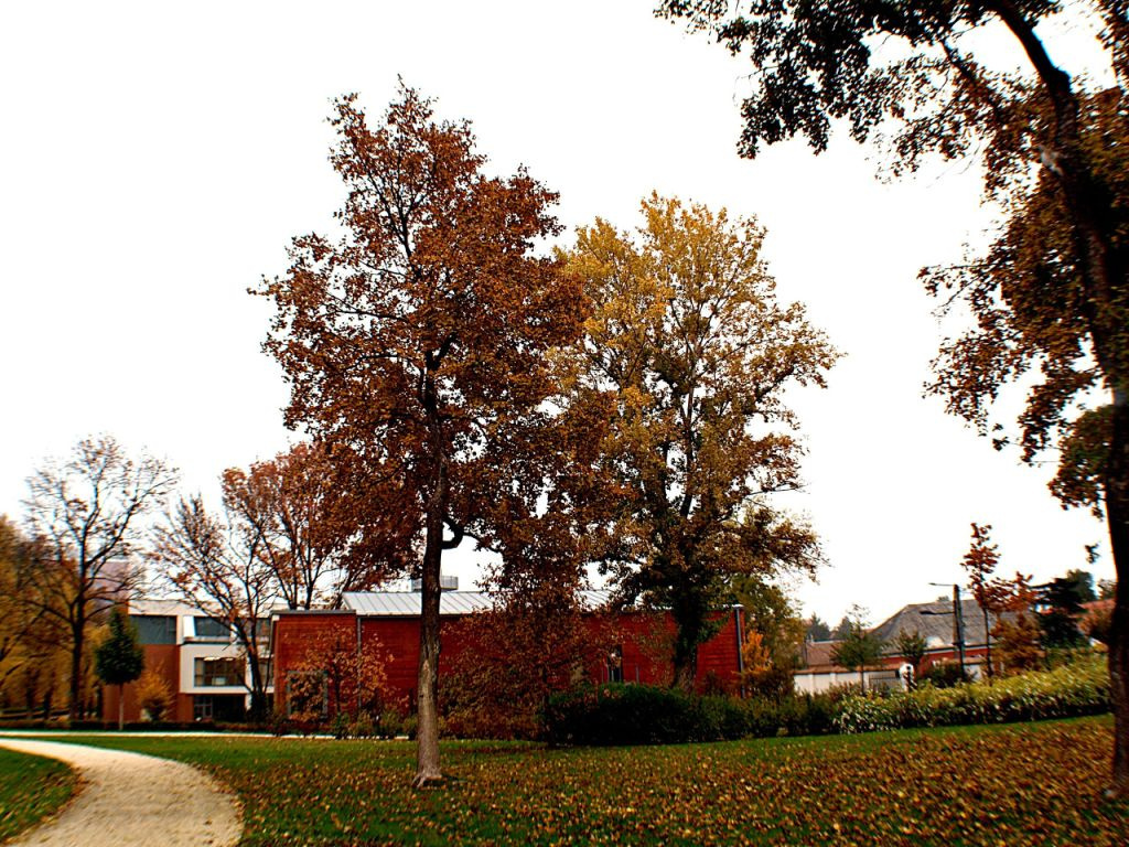 Grassalkovich kastély, Hatvan