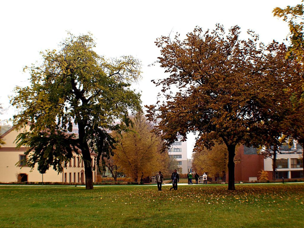 Grassalkovich kastély, Hatvan