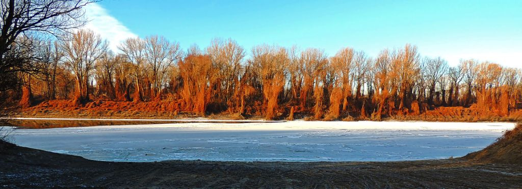 "Ice" Tisza