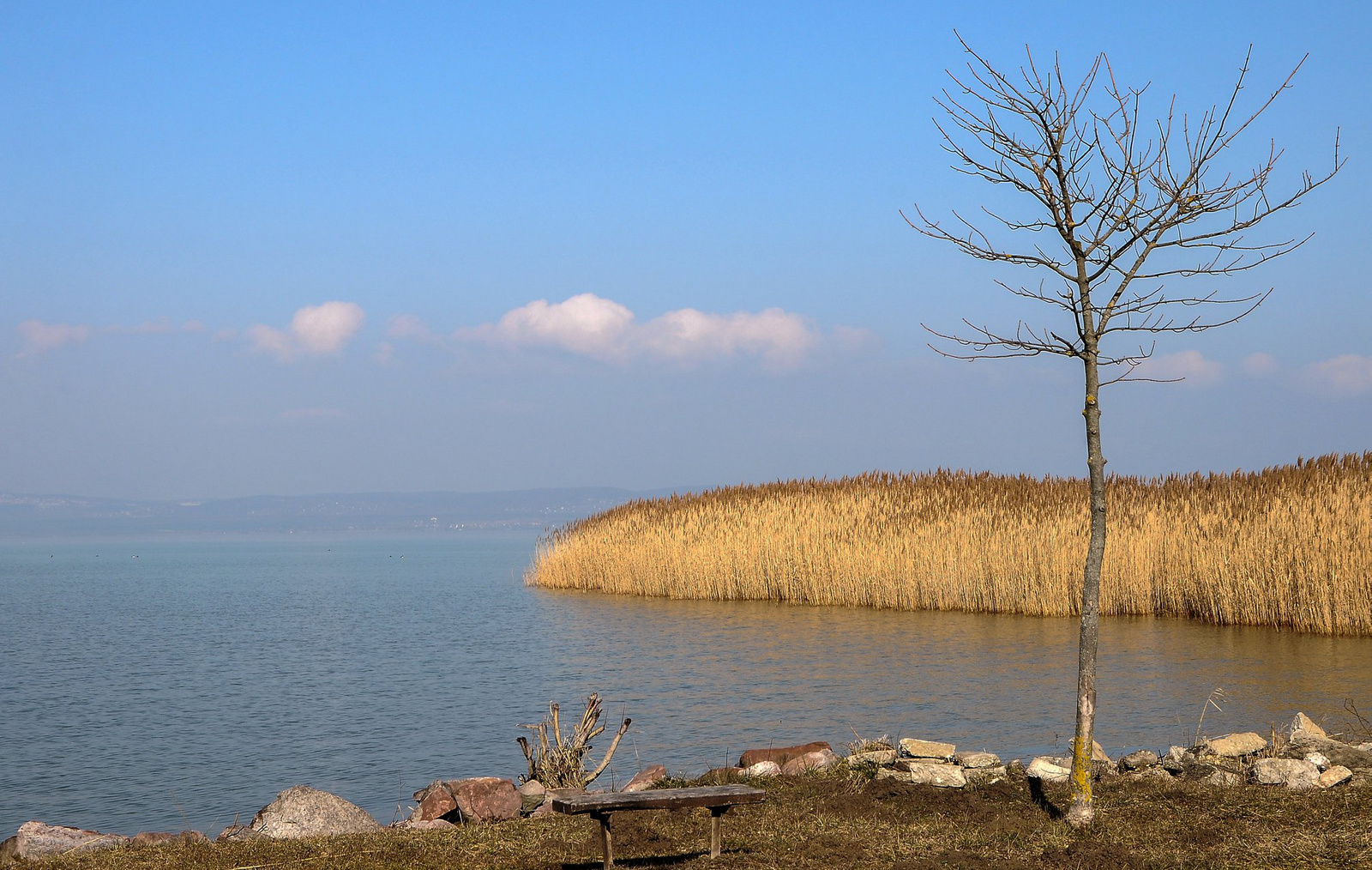 Közeleg a tavasz