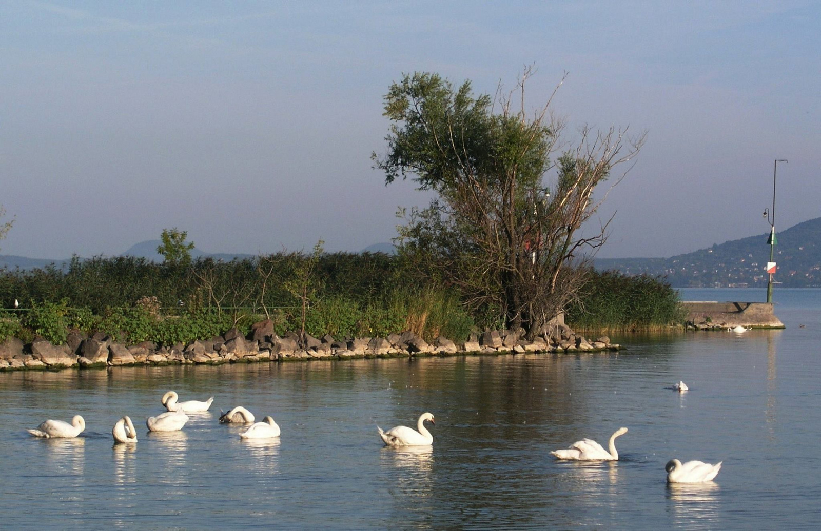 TollászkodásMMBB