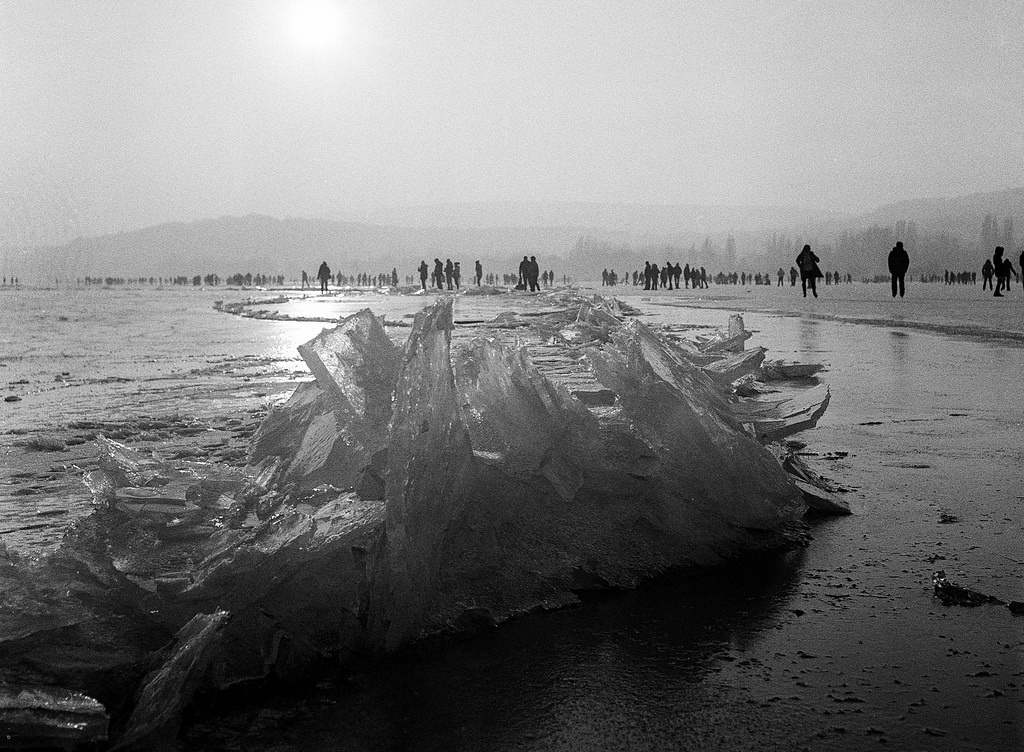 Frozen Balaton - Rolleiflex New Standard Carl Zeiss Tessar 75mm 