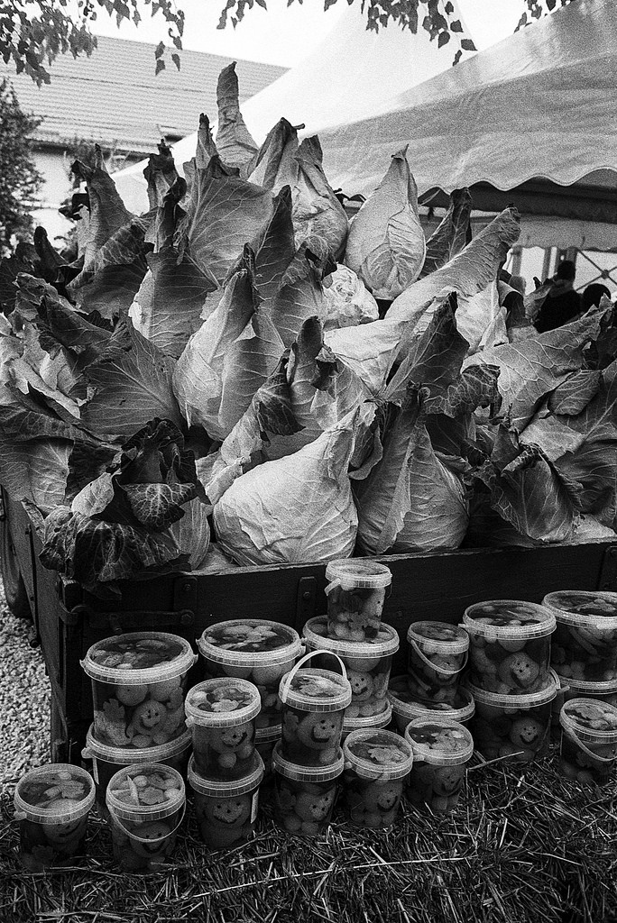 pointed cabbage - Vecsés Cabbage Festival Olympus Mju II Kentmer