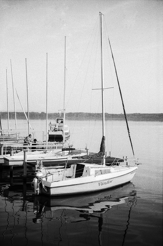 wayfarer - Canon A-1 Canon nFD 50mm f/1.4 ilford Pan 400 develop