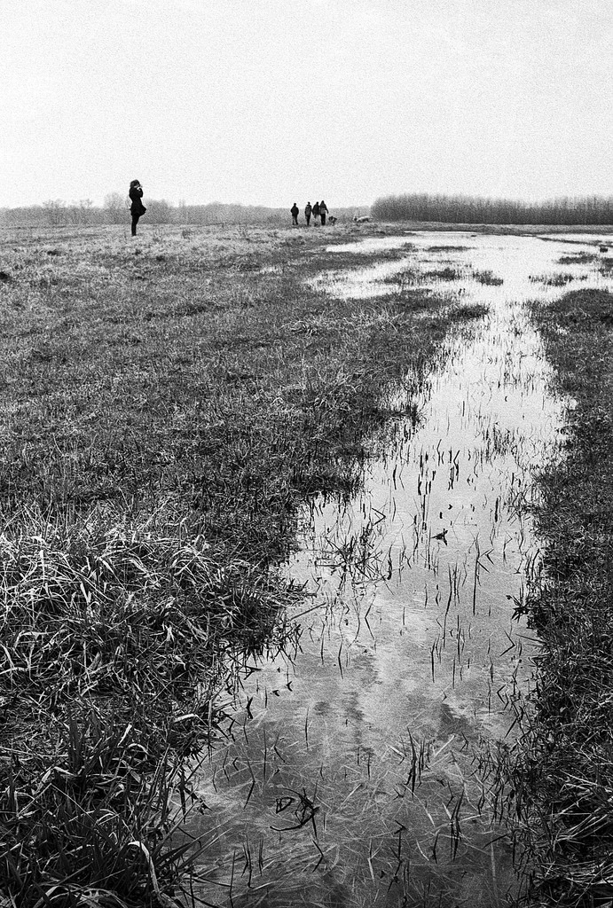 flood - Konica Hexar AF Ilford HP5 developed with LC29 (1+19 6.5
