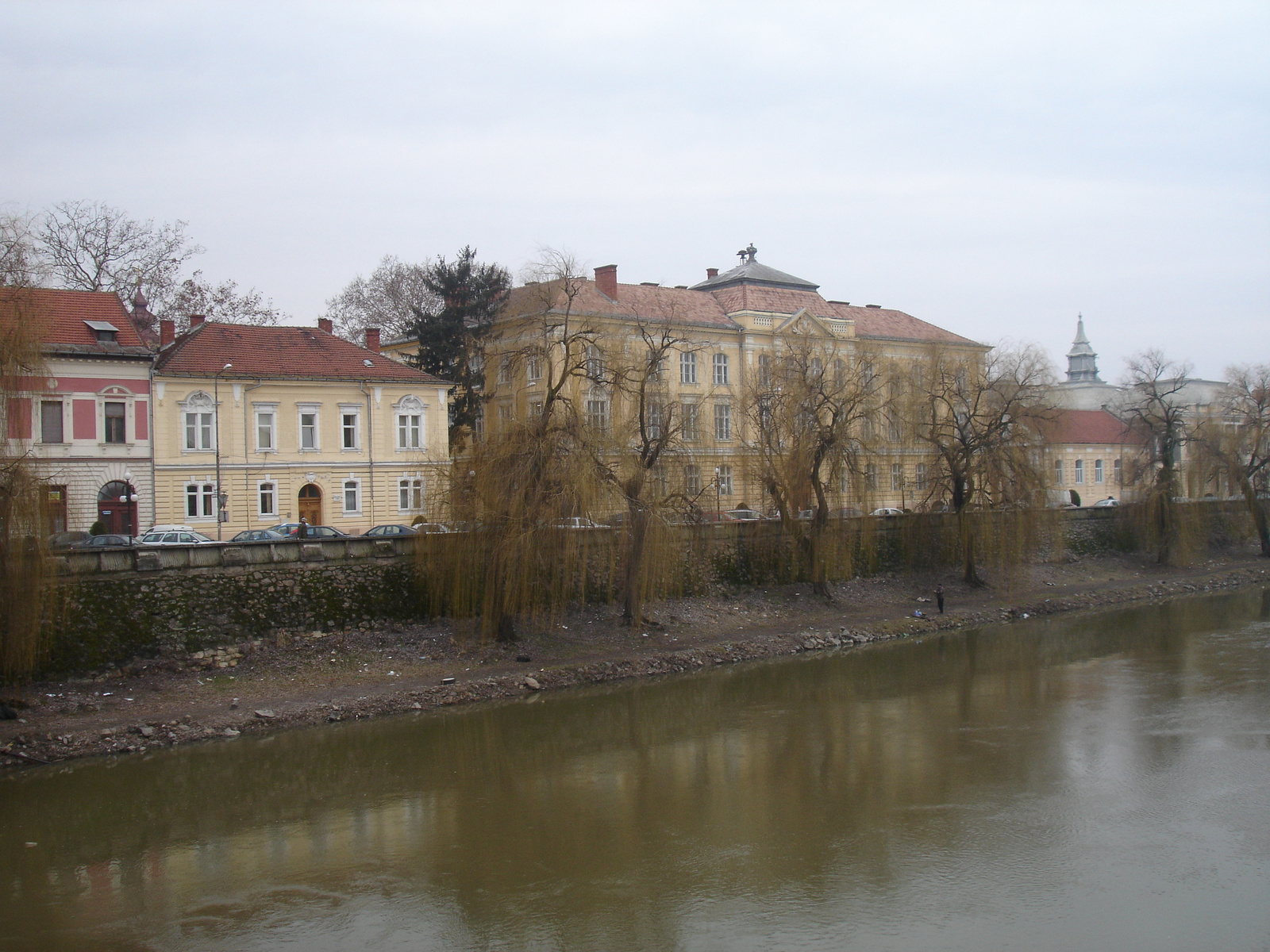 5. Lugos párti fák a Főgimnáziummal