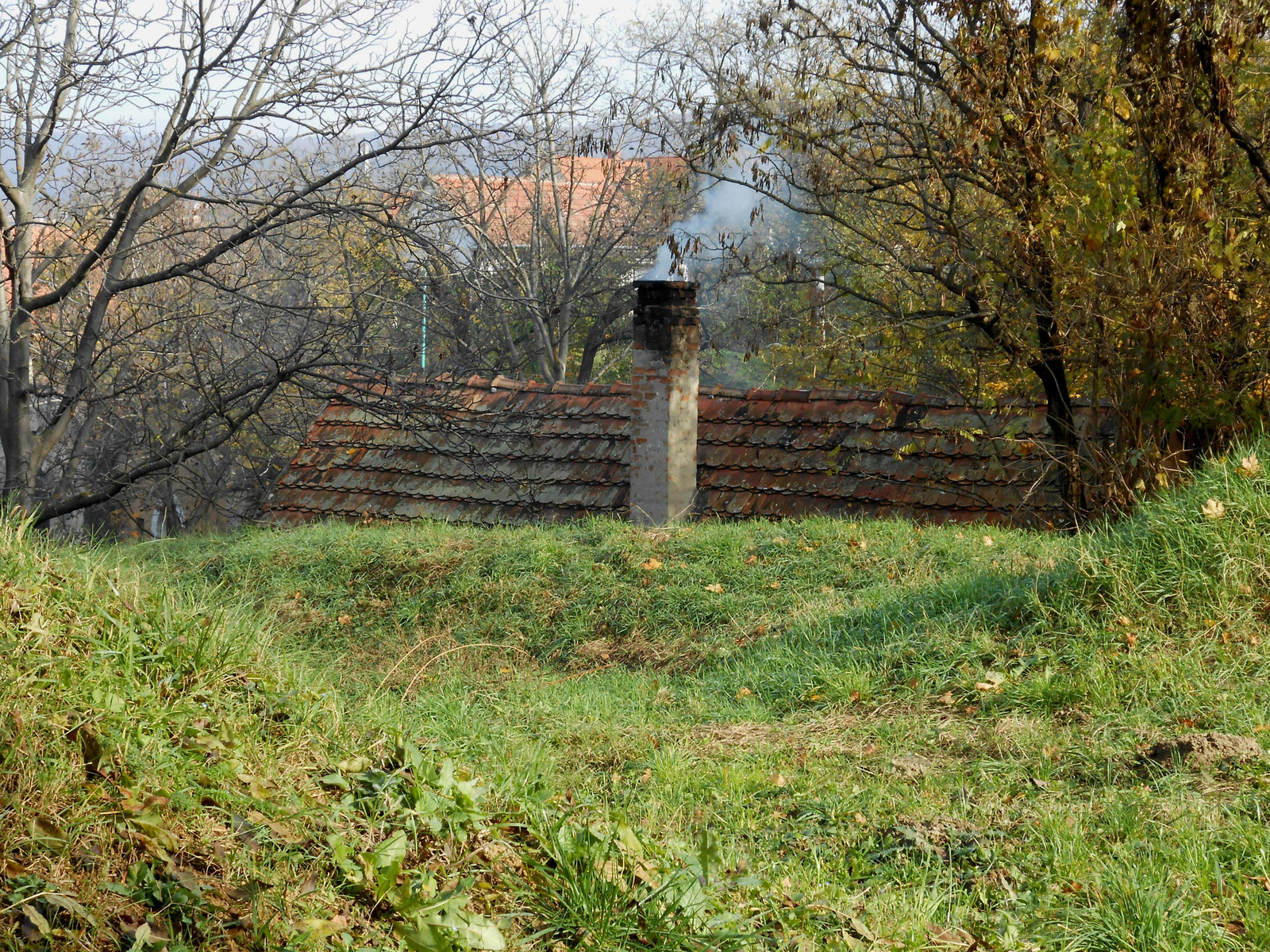 Pátyi pincék, ősz