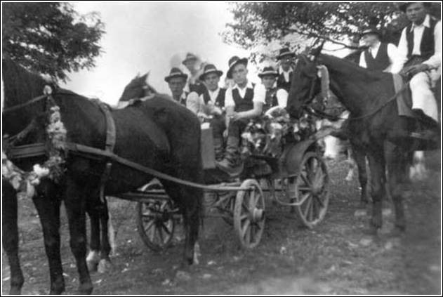 A szüreti hintó és a szüreti lovasok az 1950-es években.